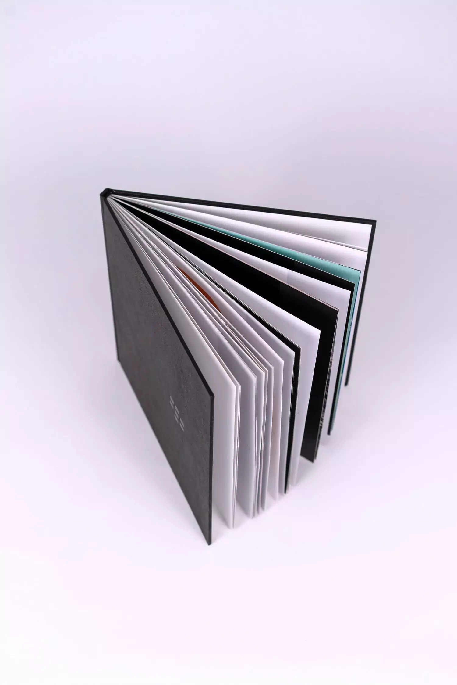 Open black hardcover book with pages fanned out containing rikersiv rebirth concept for blackberry